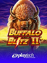Buffalo Blitz II