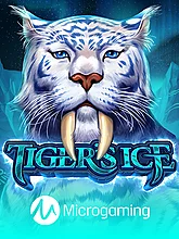 Tiger's Ice